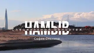 НАМЫВ