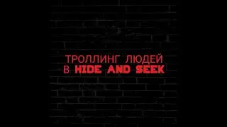 Троллинг в Hide and Seek