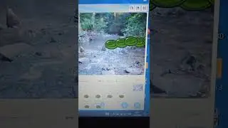 ещё одни арбузы 