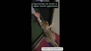 Бухгалтер не хочет в офис после удаленки
