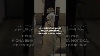 Сура 28 Аль-Касас (32-34). Шейх Ясир ад-Даусари