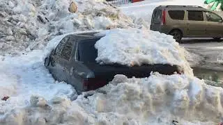 Подснежники Норильска