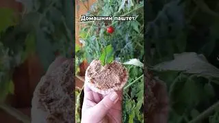 Рецепт домашнего паштета #cooking #рецепт #рецепты #рецепти #закуска #паштет