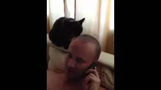 Бася лижет Сапога