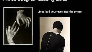 Intro to Photography Composition and The Elements and Principle of Art