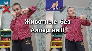 гиппоаллергенные животные!!! ЖИВОЙ БЛОГ!!!