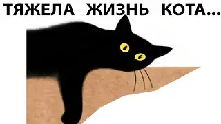 Мемы 2022 ( Про100 мемы и приколы с котами ) выпуск 353 - Тяжела жизнь кота