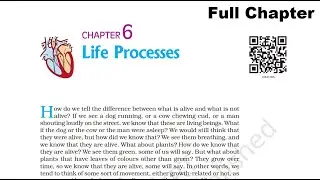 CBSE NCERT Class 10 Science Chapter 6- Life Processes [Full Chapter]