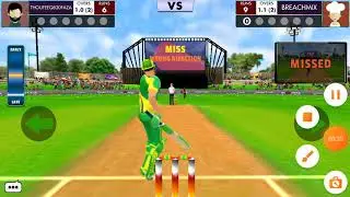 Cricket clash part 3