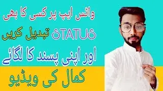 How to change whatsapp status  | in hindi & urdu | BY ALN TECH