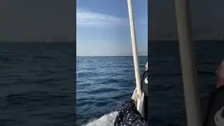 Турция. Море #shorts #short #viral #video #music #popular #viralvideo #shortvideo #море #осень