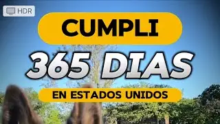 365 en Estados Unidos - EXTRAÑO A MIS MASCOTAS