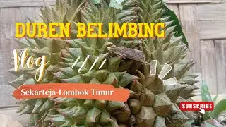 LIBURAN KE KEBON DUREN II #lomboktimur