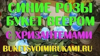 Синие розы Букет веером с хризантемами