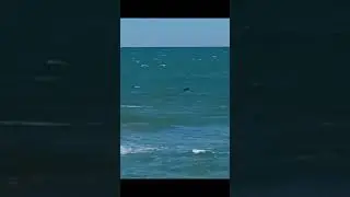 Ocean