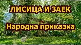 Лисица и заек - Народна приказка