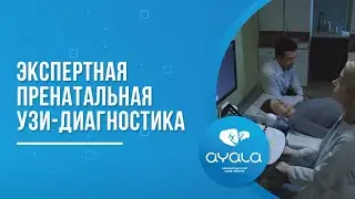 ЭКСПЕРТНАЯ ПРЕНАТАЛЬНАЯ УЗИ ДИАГНОСТИКА