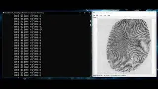 Fingerprint conversion from WSQ to ANSI INCITS 378-2004 or ISO/IEC 19794-2:2005 demo