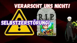 WAS SOLL DAS? SO ZERSTÖRT IHR EUCH! | PIXEL GUN 3D | MEIN RANT |