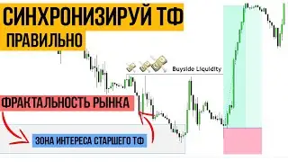 +$3,000 per TRANSACTION. Market FRACTALITY, TIMEFRAMES SYNCHRONIZATION
