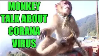 FUNNY VIDEO 2020