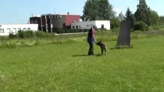 Tüüp hüppab tõket pulgaga
