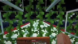 Minecraft 1.14.4 Как быстро преодолеть большие расстояния на серверах без привата.
