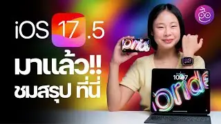 iOS 17.5 มาแล้ว! ภาพพื้นหลัง Pride ใหม่, โหมดซ่อมใน Find My และอื่น ๆ ชมสรุปที่นี่ 