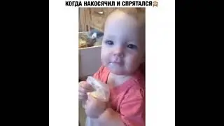 Когда накосячил и спрятался)))