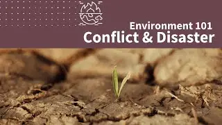Conflict & Disaster | Environment 101 | CSCEN