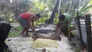 Cooking Raw meat underground (watch this).