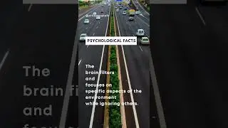 PSYCHOLOGICAL FACTS | YouTube Shorts | Shorts