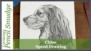 Pencil Smudge Speed Drawing of Chloe