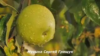 Музыка Для Души  ЗА ДАЛЬЮ ДАЛЬ  Музыка Сергей Грищук  