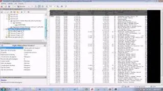 Compleo Explorer - Importacion a Excel desde un Spool - (2 de 2) Ejemplo Avanzado