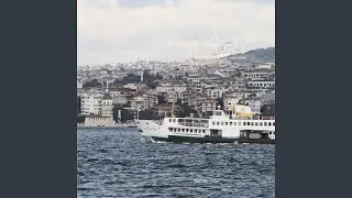 Fikrimin İnce Gülü