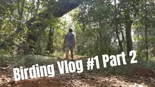 Birding Vlog #1 Dlinza Forest Part 2 | The Birding Life