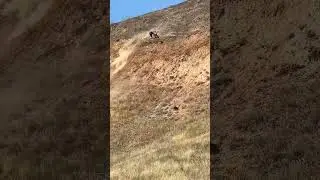 Утренняя зарядка