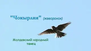 Молдавский народный танец 