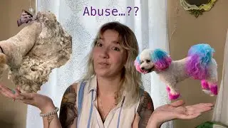 Pooch Perfect -  Is Dying Dog Hair Animal Abuse?