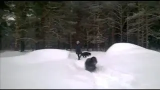 Шанталь 4 месяца