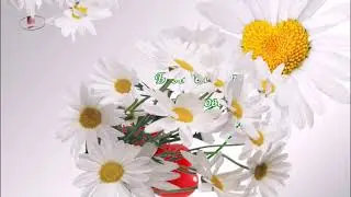 « Добрый день, дорогие мои...»