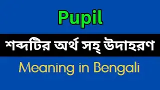 Pupil Meaning in Bengali/Pupil Mane Ki, Pupil Explain in Bengali