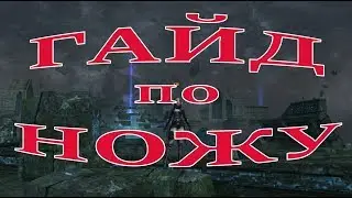 🔪🔪🔪 ГАЙД: РАЗБОЙНИК ОДАЛА (НОЖ) Lineage 2 Orfen 🔪🔪🔪