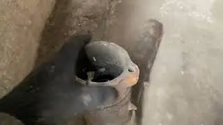 Начало сезона 2024
