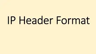 IP Header Format