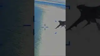 Момент столкновения российского Су-27 с американским БПЛА MQ-9
