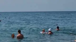Адлер 10.08.23 Дельфины у берега