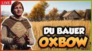 LANDWIRTSCHAFT im WINTER?🌱MEDIEVAL DYNASTY Oxbow 2024 - Gameplay | Livestream | 