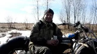 Ласточка с весною .... и сеня